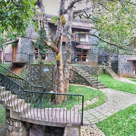 Bed and Breakfast Wildernest Thekkady Exteriér fotografie
