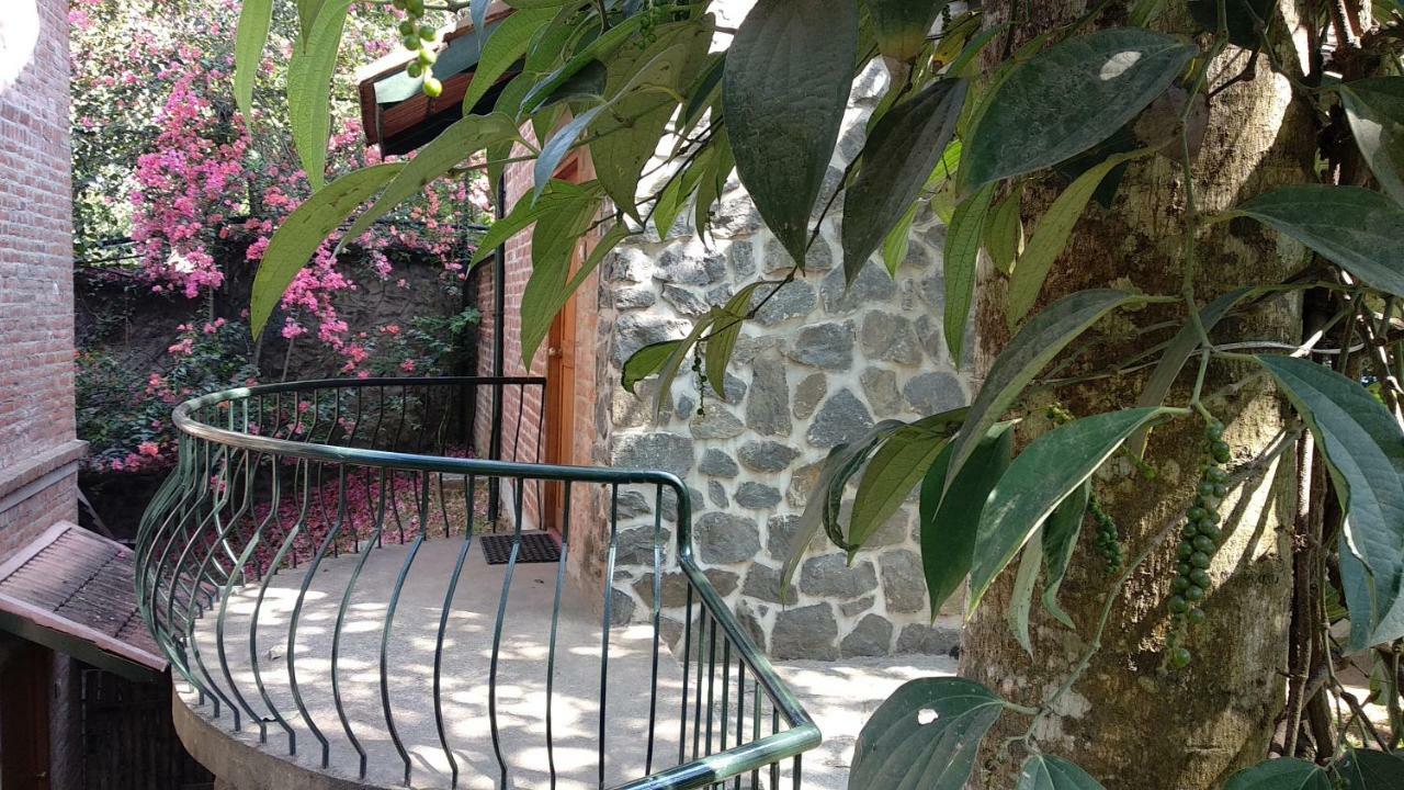 Bed and Breakfast Wildernest Thekkady Exteriér fotografie