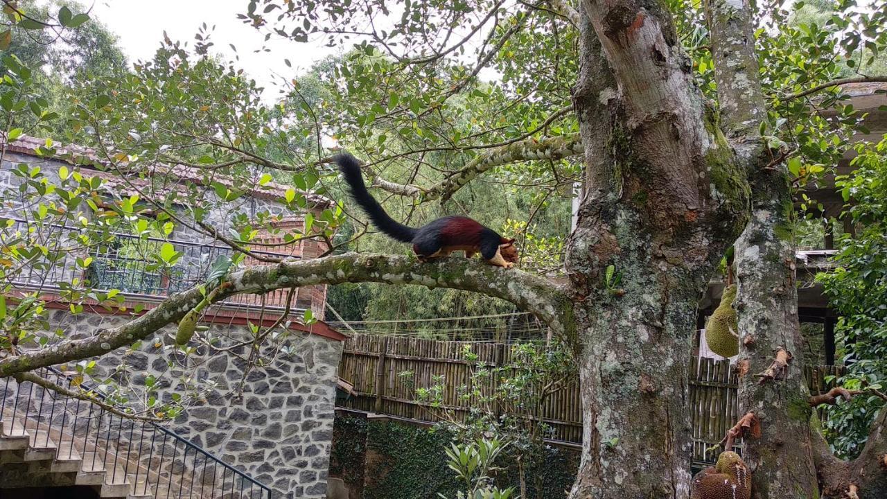 Bed and Breakfast Wildernest Thekkady Exteriér fotografie