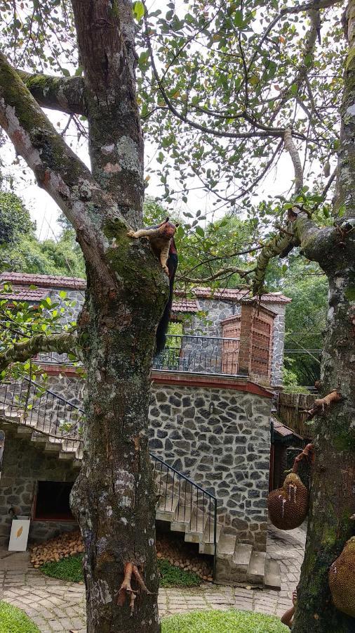 Bed and Breakfast Wildernest Thekkady Exteriér fotografie